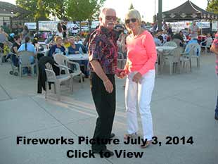 Fire Works Pictures